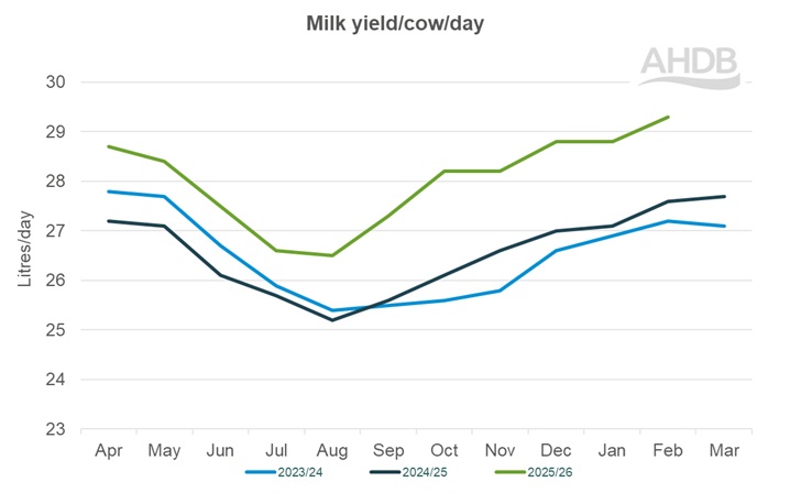 Line graph up to February 2026 for Kingshay Milk yield per cow graph last 3 years.
